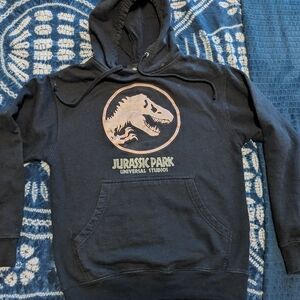 Jurassic Park hoodie official Universal Studios Vintage size small T Rex Dinosau